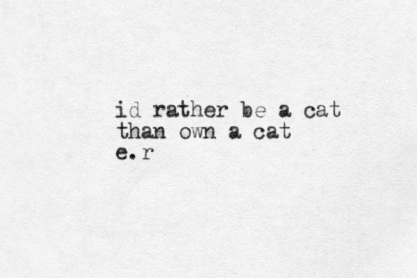 id rather be a cat than own a cat e.r