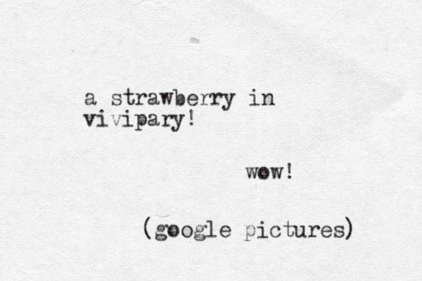 a strawberry in vivipary! wow! (google pictures) 
