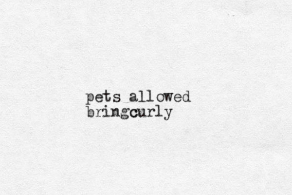 pets allowed brin c gcurly