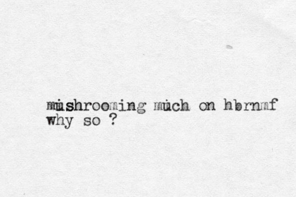 mish ushrooming mich u on hbrnmf why so ?
