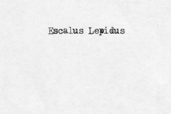Escalus Lepidus