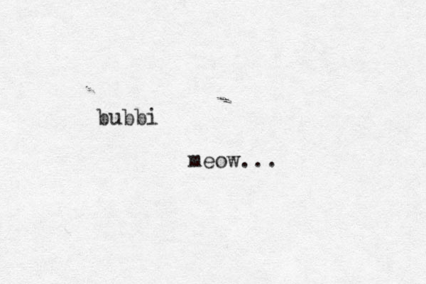 bubbi meow...