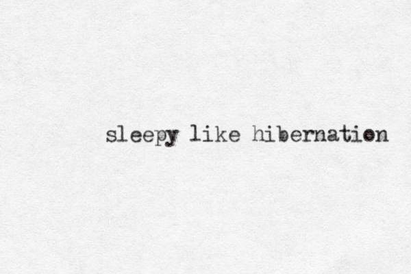 sleepy like hibernation 