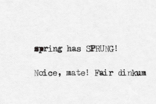 spring has SPRUNG! Noice, mate! Fair dinkum 