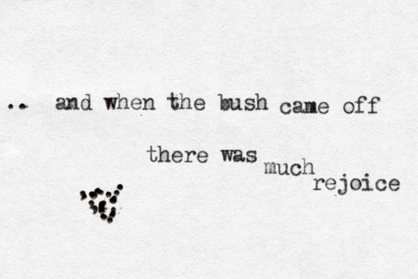 and when the bush came off there was much rejoice .. ,.,, .. ..................... 