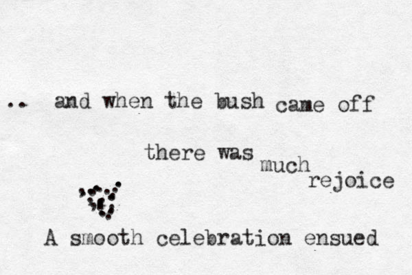 and when the bush came off there was much rejoice .. ,.,, .. ..................... A smooth celebration ensued 