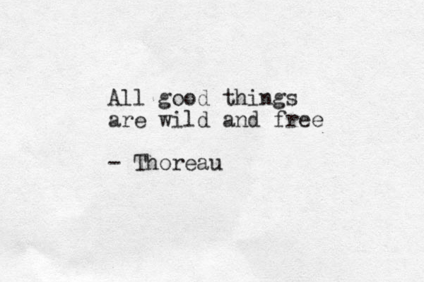 All good things are wild and free - Thoreau