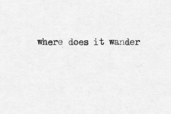 where does it wander