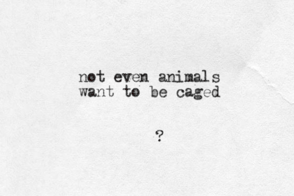 not even animals want to be caged ?