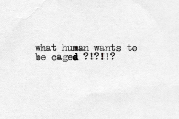 what human wants to be cages d d d d ?!?!!?
