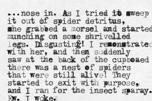 ...nose i n. As I tried it to sweep it out i of spider detritus, she grabbed a morsel and started munching on some shrivelled legs. Disgustinf g! I remonstrated with her, and then suddenly saw at the back of the cupboaed there was a nest of spiders that were still alive! They started to exit with purpose, and I ran for the insect sparay. Ew. I wokez . 