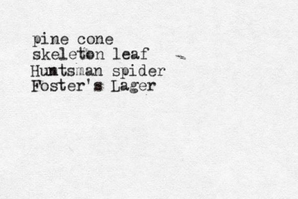 pine cone skeleton leaf Hum ntsman spider Foster's Lager