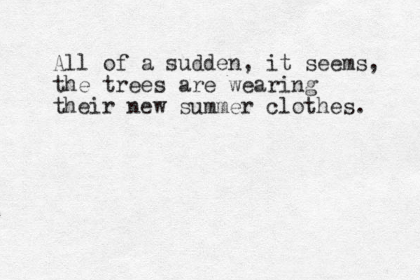 All of a sudden , it seems, the trees are wearing their new summer clothes. 