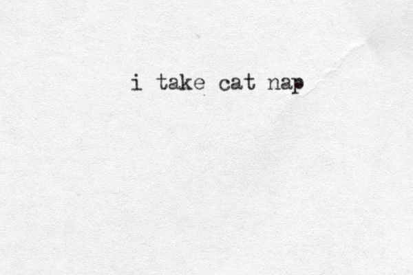i take cat nap 