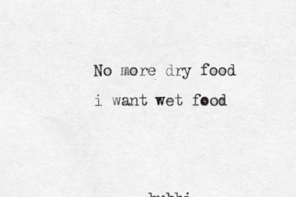 bubbi No more dry food i want wet food
