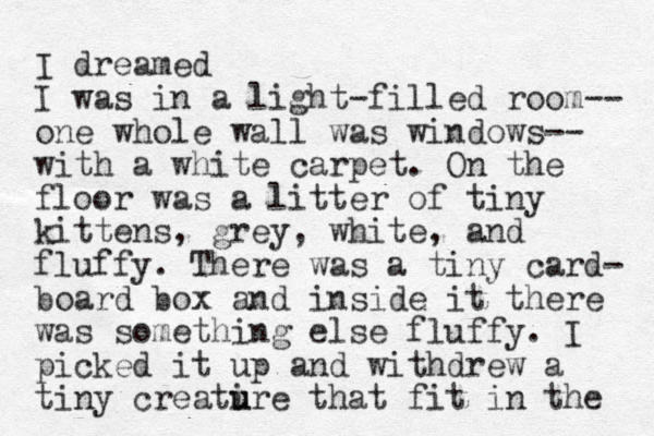 I dreamed I was in a light-filled room-- one whole wall was windows-- with a white carpet. On the floor was a litter of tiny kittens, grey, white, and fluffy. There was a tiny card- board box and inside it there was something else fluffy. I picked it up and withdrew a tiny creati u ure that fit in the 