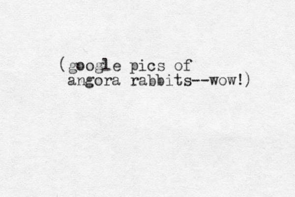 (google pics of angora rabbits--wow!) 