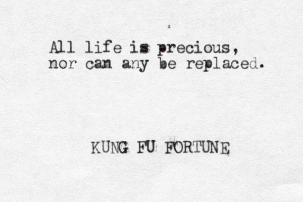 All life is precious, nor can any be replaced. KUNG FU FORTUNE 
