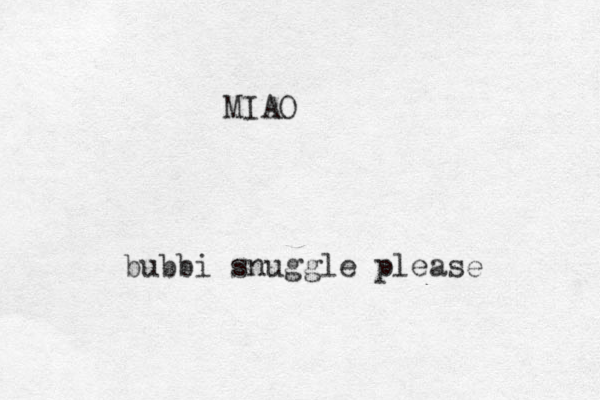 bubbi snuggle please MIAO