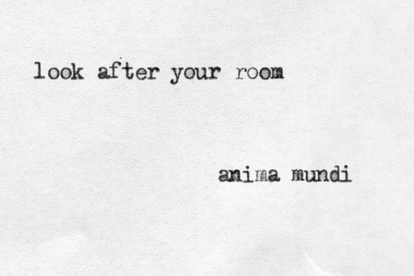 look after you r room anima mundi 