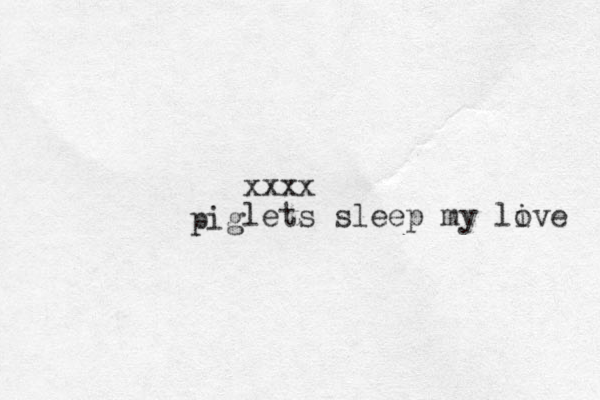 xxxx lets sleep my li ove pig