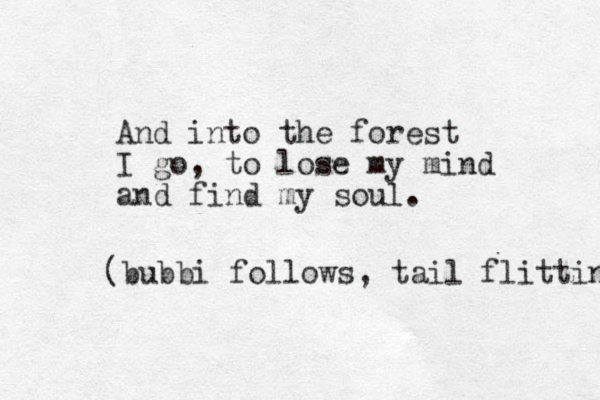 And into the forest I go, to lose my mind and find my soul. (bubbi follows, tail flitting 