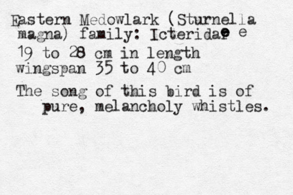 Eastern Medowlark (Sturnella magna) family: Icteridar 19 to 28 cm in length wingspan 35 to 40 cm The song of this bird is of pure , melancholy whistles. e e e e