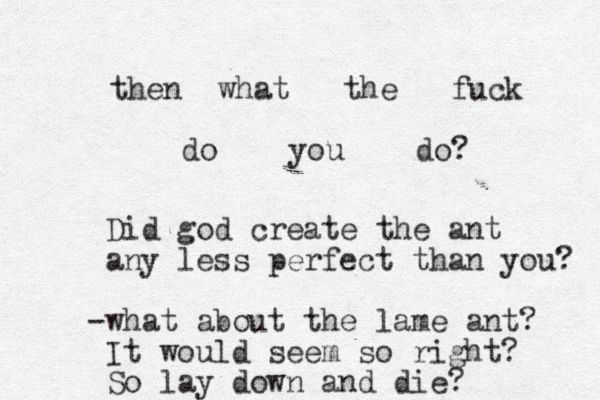 then what the fuck do you do? Did god create the ant any less perfect than you? what about the lame ant? - It would seem so right? So lay down and die?