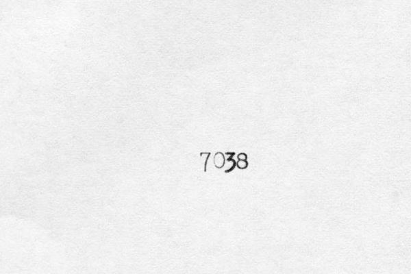 7038
