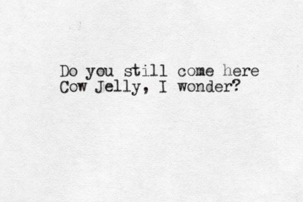 Do you still come here Cow Jelly, I wonder? 