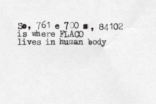 So, 761 e 700 s is where FLACO lives in human body , 84102 