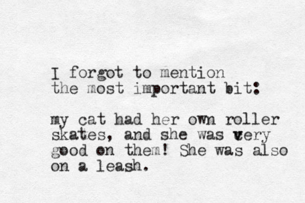 I forgot to mention the most important bit: my cat had her own roller skates, and she was c v very good on them! She was also on a leash.