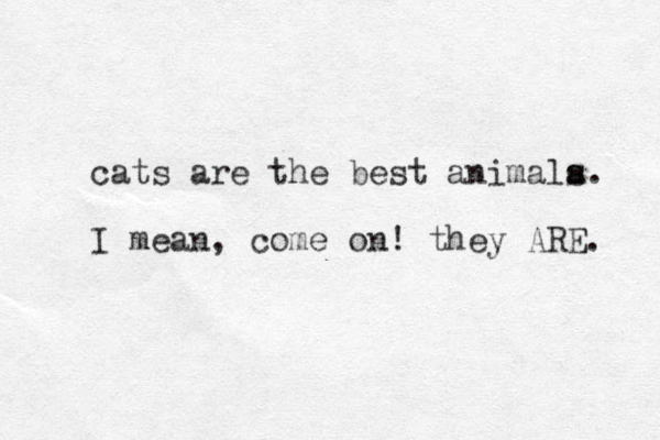 cats are the best animala s s. I mean, come on! they ARE. 