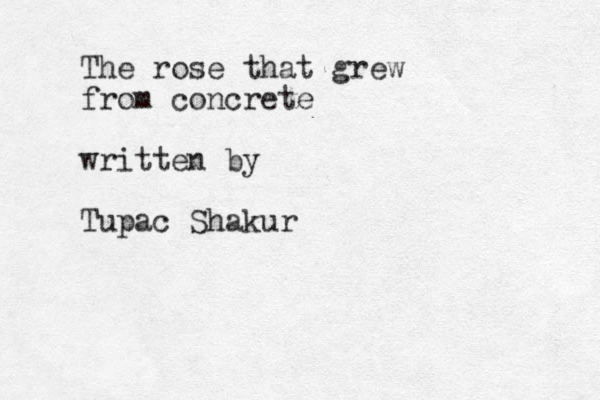 The rose that grew from concrete written by Tupac Shakur