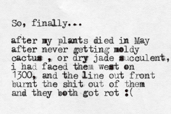So, finally... after my plants died in May after never getting moldy cactus , or dry jade succulent, i had faced them west on 1300, and the line out front burnt the shit out of them and they both got rot :( 