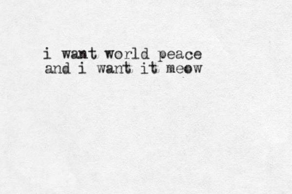 i want world peace and i want it meow
