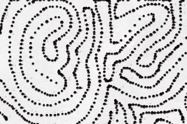 ................................................................................................................................................................................................................................................................................................................................................................................................................................................................................................................................................. ..................................................................................................................................................................................................................................................... .................. _