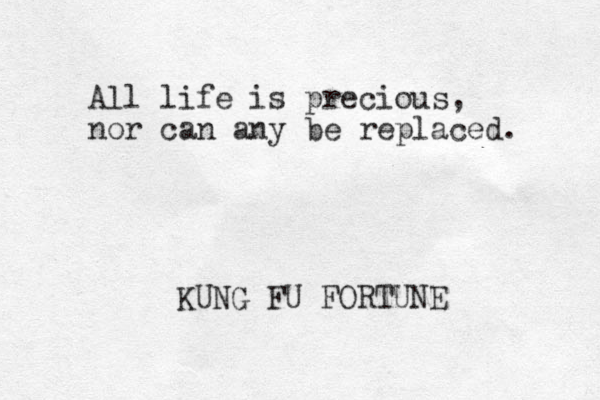 All life is precious, nor can any be replaced. KUNG FU FORTUNE