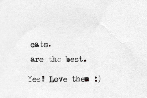 cats. are the best. Yes! Love them :)