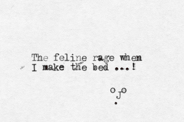 The feline rage when I make the bed ...! o o J . 