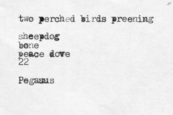 two perched birds preening sheepdog bone peace do ve 22 Pegau sus 