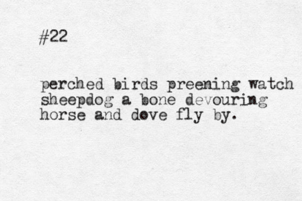 #22 perched birds preening watch sheepdog a bone devouring horse and dove fly by. 