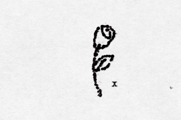 ................................................................................................................................ z...................................................................................................... ...............x 