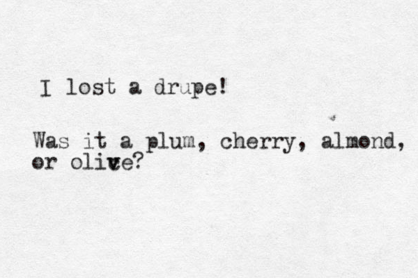 lost a drupe! I Was it a plum, cherry, almond, or olic v ve?