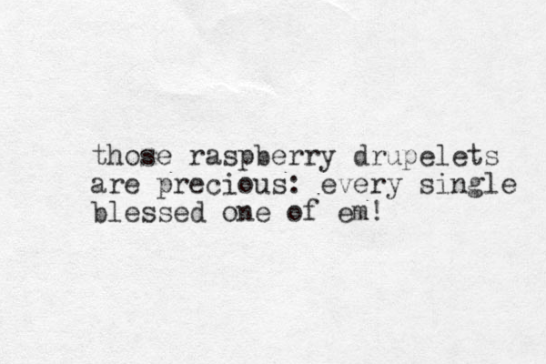 those raspberry drupelets are precious: every single blessed one of em! 