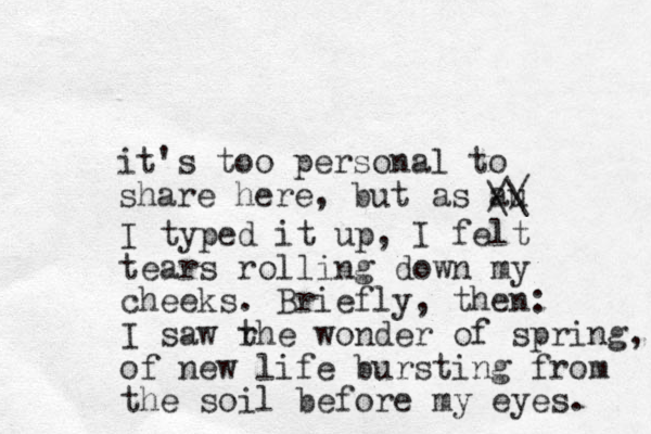 it's too personal to share here, but as au / / \\ I typed it up, I felt tears rolling down my cheeks. Briefly, then: I saw rhe t wonder of spring, of new life bursting from the soil before my eyes. 