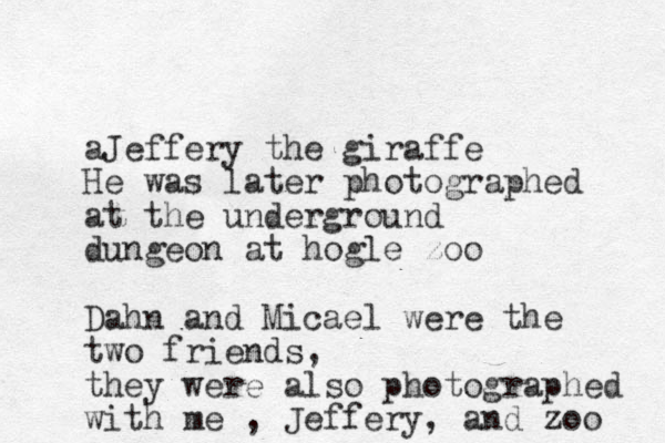 aJeffery the giraffe He was later photographed at the underground dungeon at hogle zoo Dahn and Micael were the two friends, they were also photographed with me , Jeffery, and zoo 