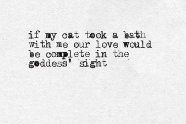 if my cat took a bath with me our love would be complete in the goddess' sight 