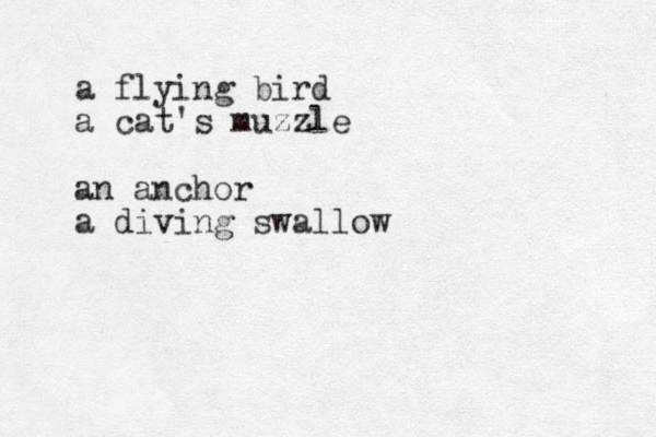 a flying bird a cat's muzzle an anchor a diving swallow