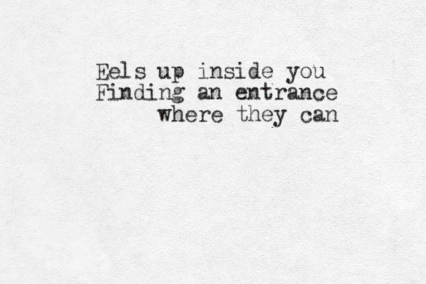 Eels up inside you Finding an entrance where they can
